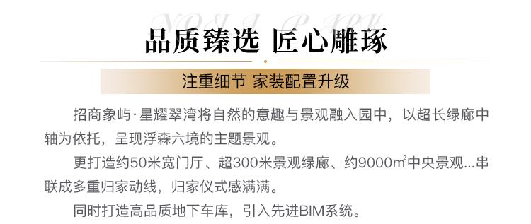 星耀翠湾落地页_07.jpg